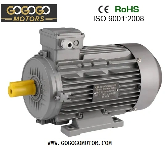 Chinese CE Ie2 Ie3 Ye2 Ye3 Yb3 Ybx3 Y2 Yc Ml Yl Premium High Efficiency Electric/Industrial /Electrical Induction Asynchronous High Power AC Motor Manufacturer