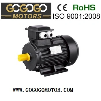 China CE Ie2 Ie3 Ye2 Ye3 Yb3 Ybx3 Y2 Yc Ml Yl Premium High Efficiency Electric/Industrial /Electric Induction Motor asíncrono de CA de alta potencia Fabricante